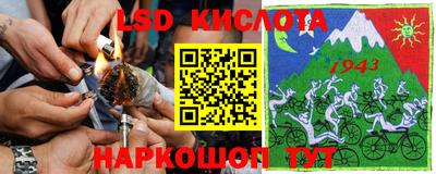 гашик Ярославль