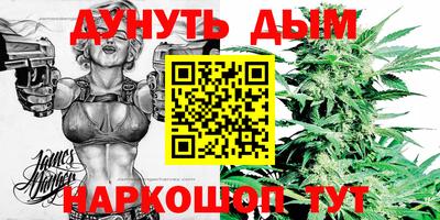 гашик Ярославль