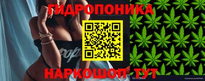 гашик Ярославль