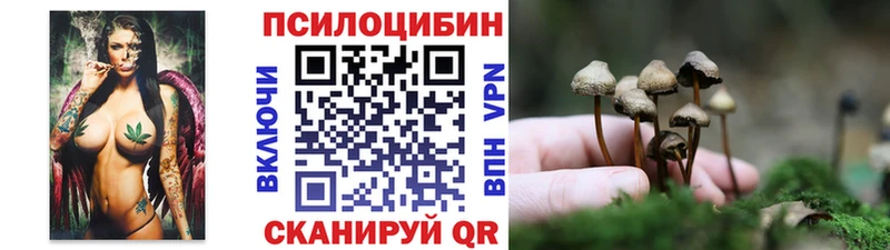 Псилоцибиновые грибы Cubensis Северодвинск