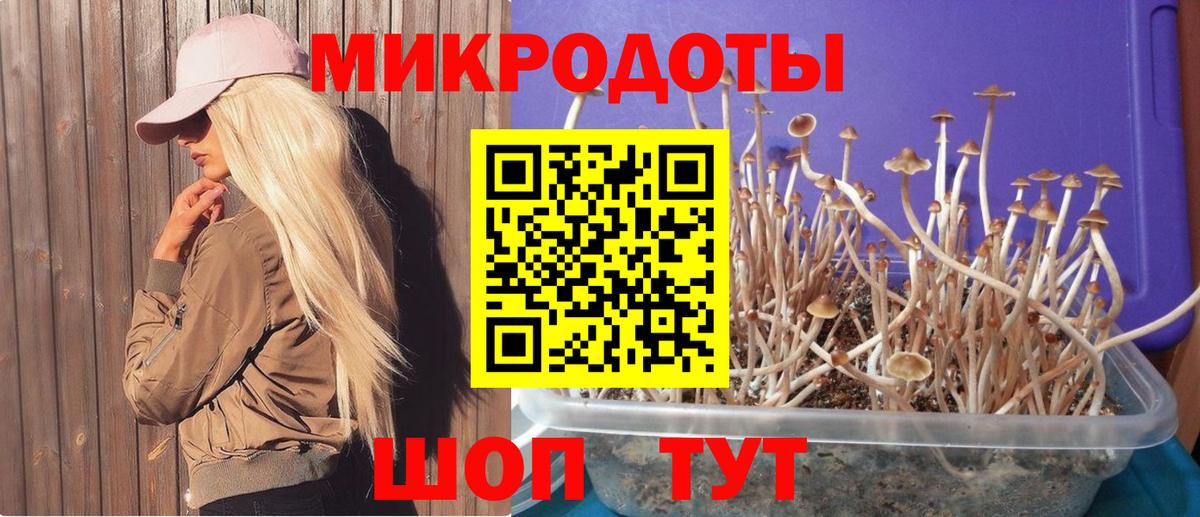 Псилоцибиновые грибы MAGIC MUSHROOMS Северодвинск