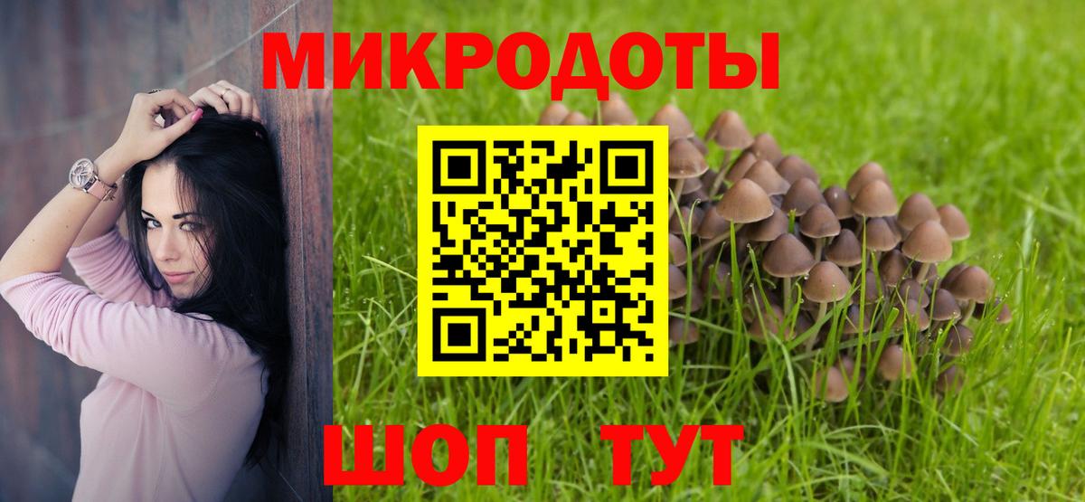 Галлюциногенные грибы Psilocybine cubensis  Псилоцибиновые грибы Cubensis  Северодвинск  Вход с VPN 